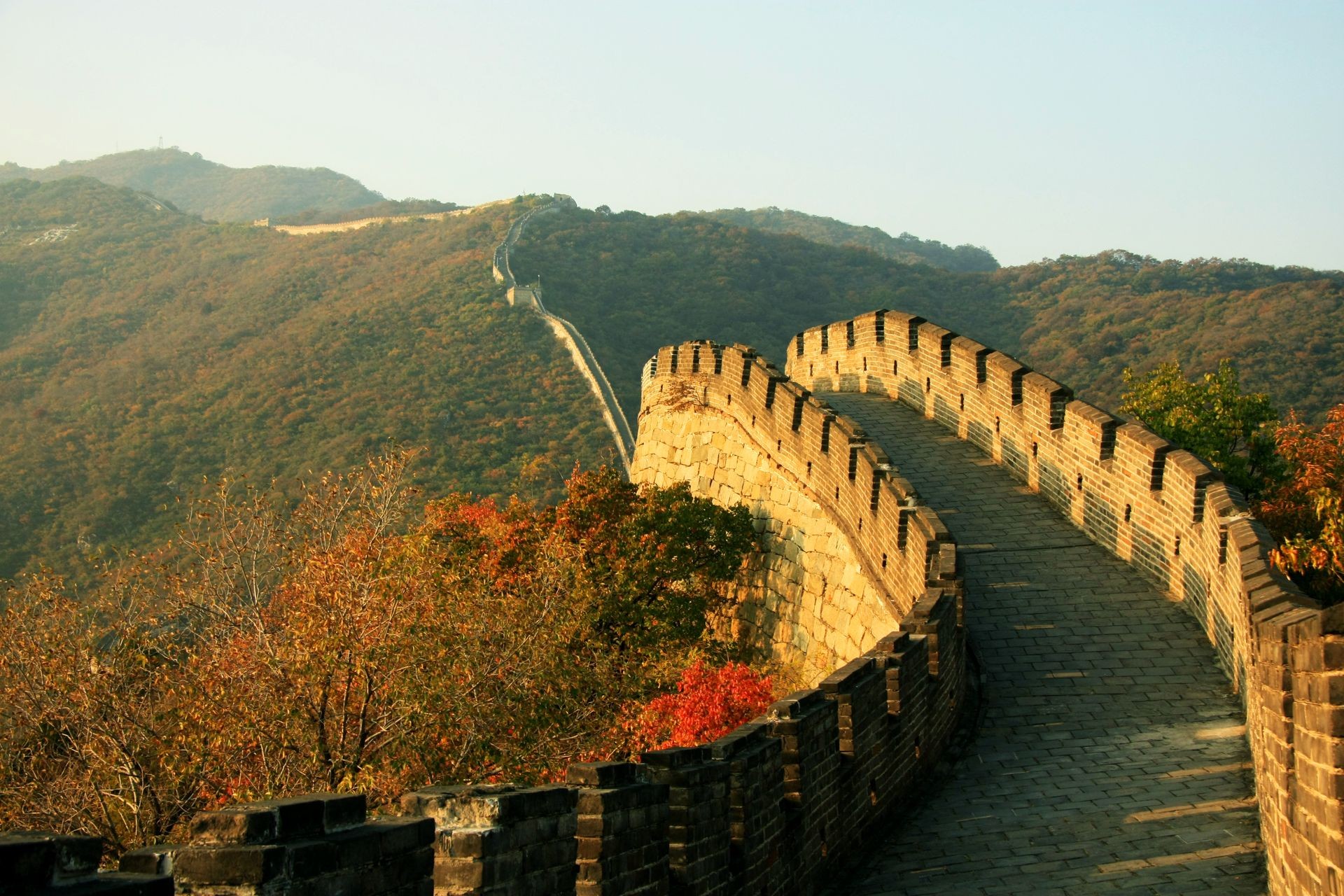 Great Wall
China, Beijing: Great Wall in autumn. The section of the wall is Mutianyu. The wall passes along the crests of the hills, covered with wood.