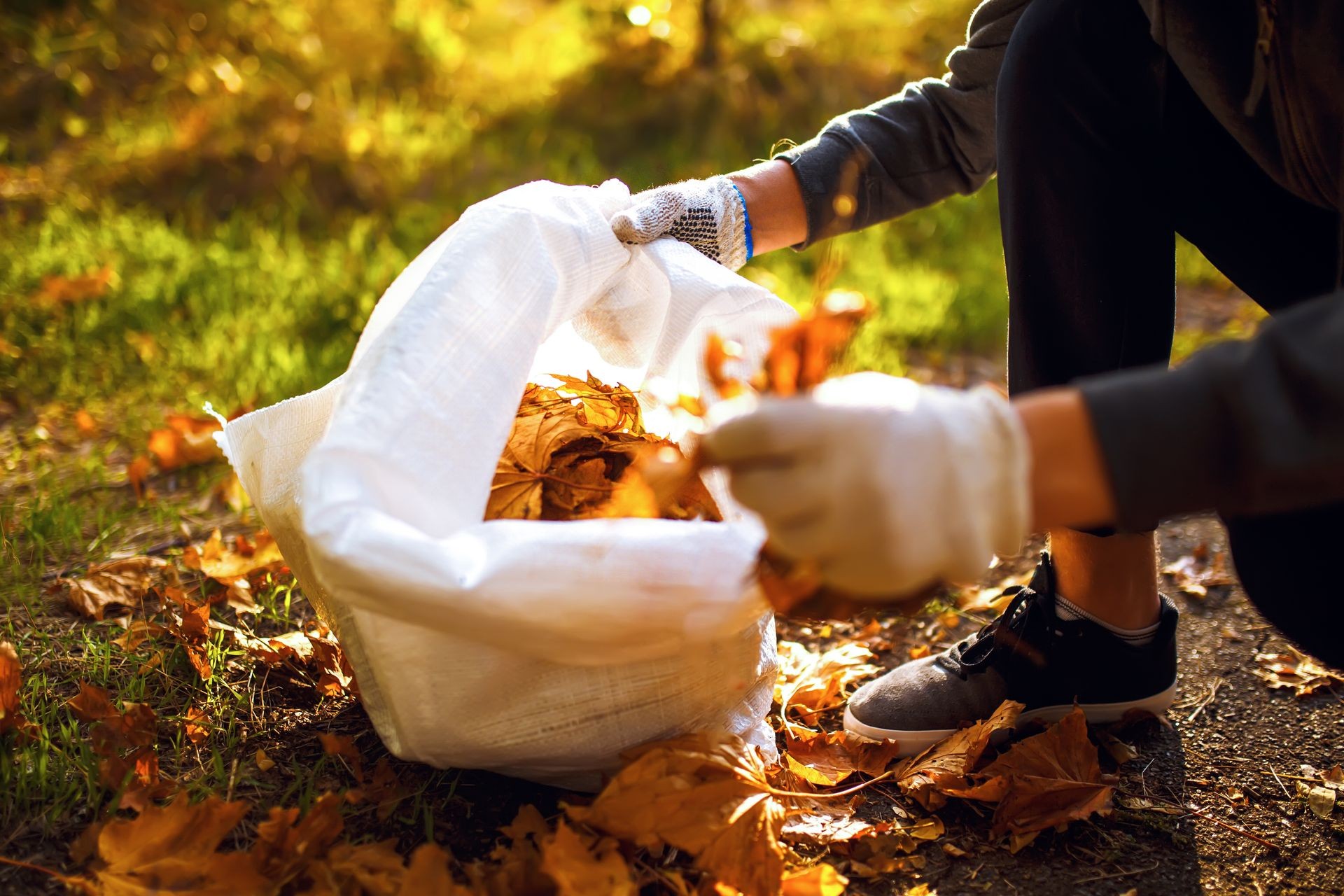 young boy cleans fallen leaves. concept of purity. autumn leaves. purity. Environment. otdoor. gloves on his hands. sunny weather. worker.volunteering, charity, cleaning, people and ecology concept. 