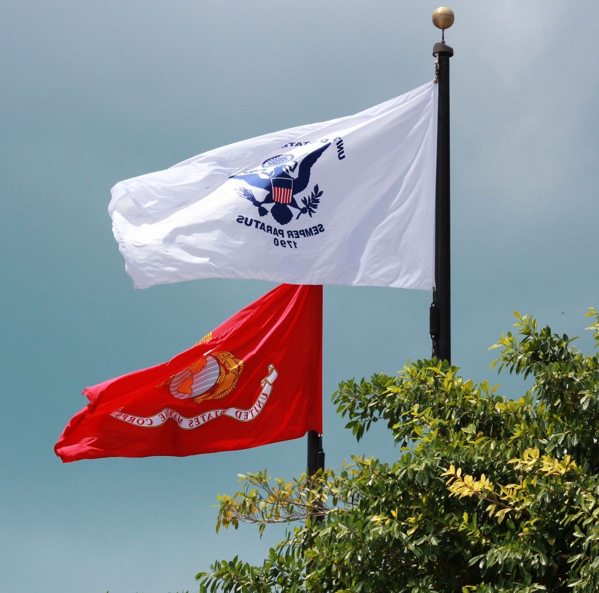 United States Coast Guard and United States Marine Corps flags waving from the flagpoles