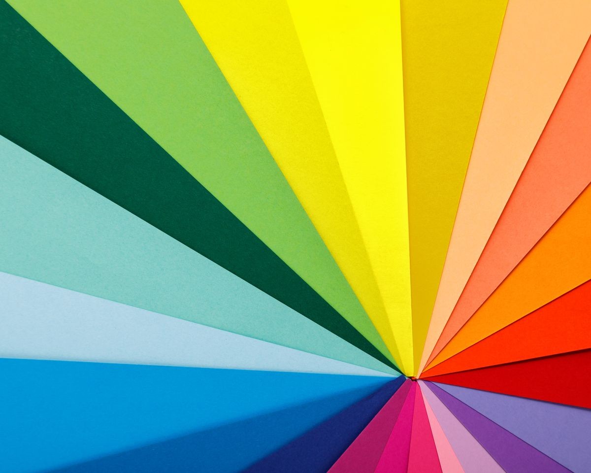 Rainbow color palette. Sheets of different colored paper