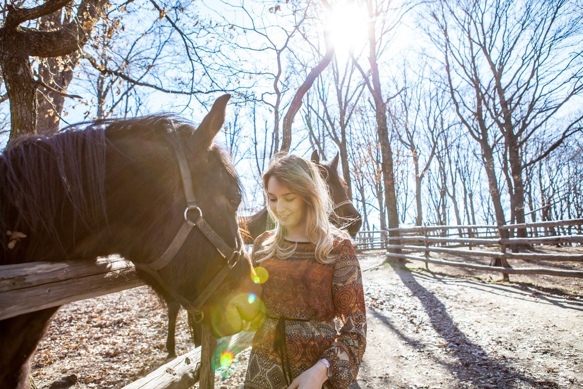 Beautiful woman looking at horse standing near fence. Beautiful girl and her handsome horse. Silhouette of a girl who sits next to a horse. Girl kissing a horse. girl feeding horses.