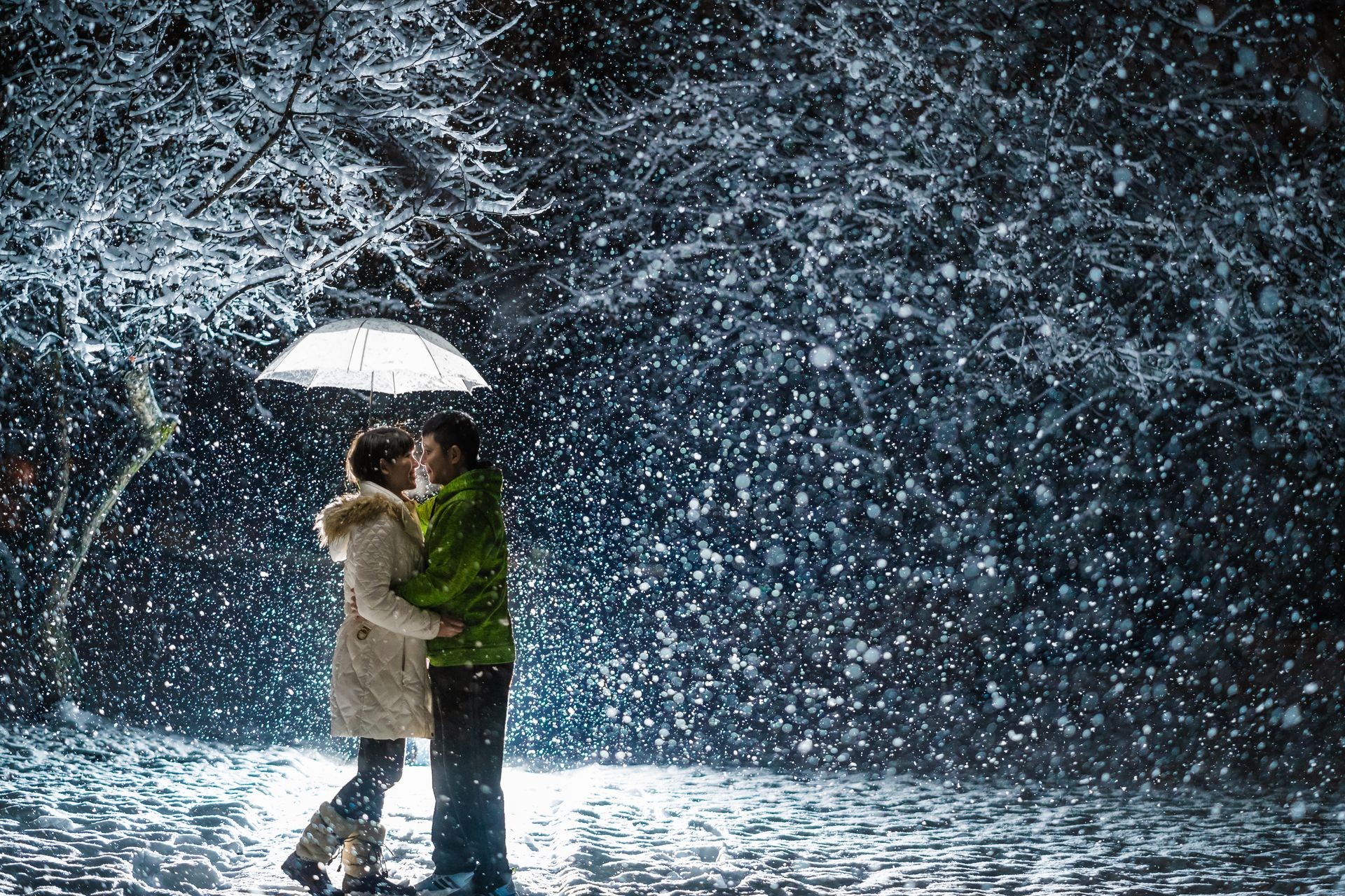 Lovely Couple in the Snow 