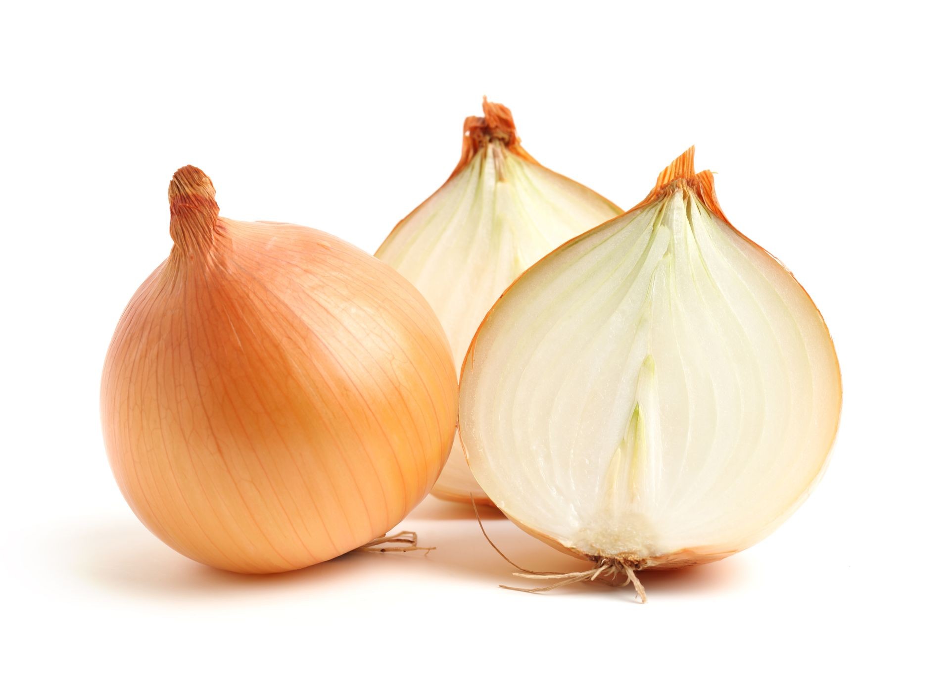 Fresh onion bulbs isolated on white background