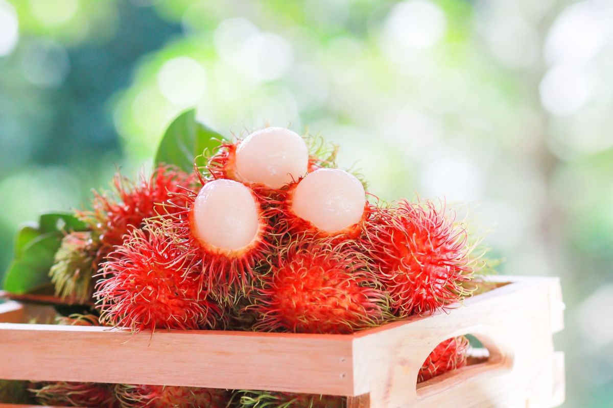 Fresh rambutan in the wooden box, asian fruit.