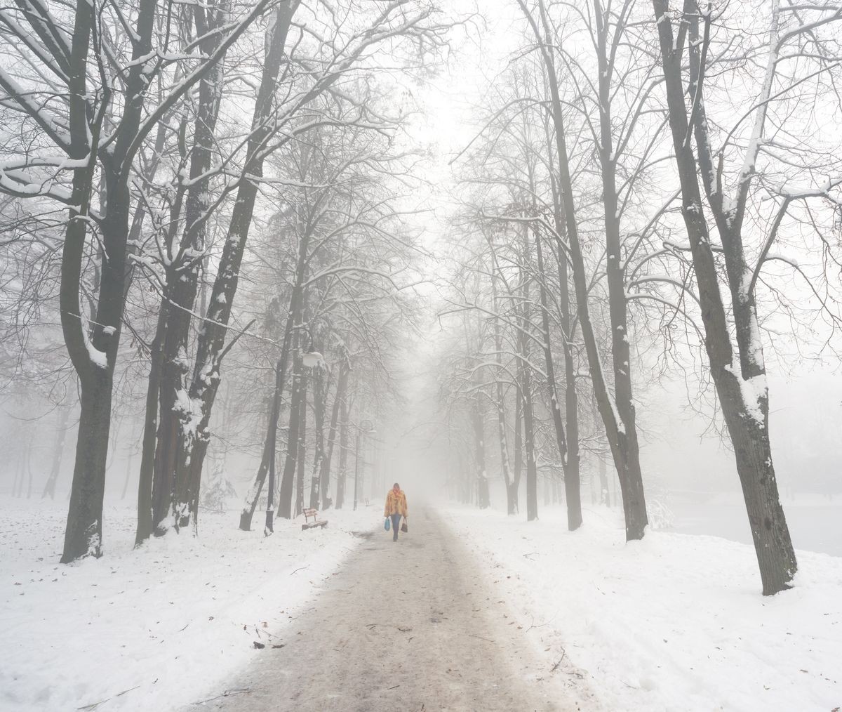 After a night of snow blizzard foggy morning silhouettes of passers citizens walking their pets under the snow-covered trees in the background of the cold urban park in Ukraine
