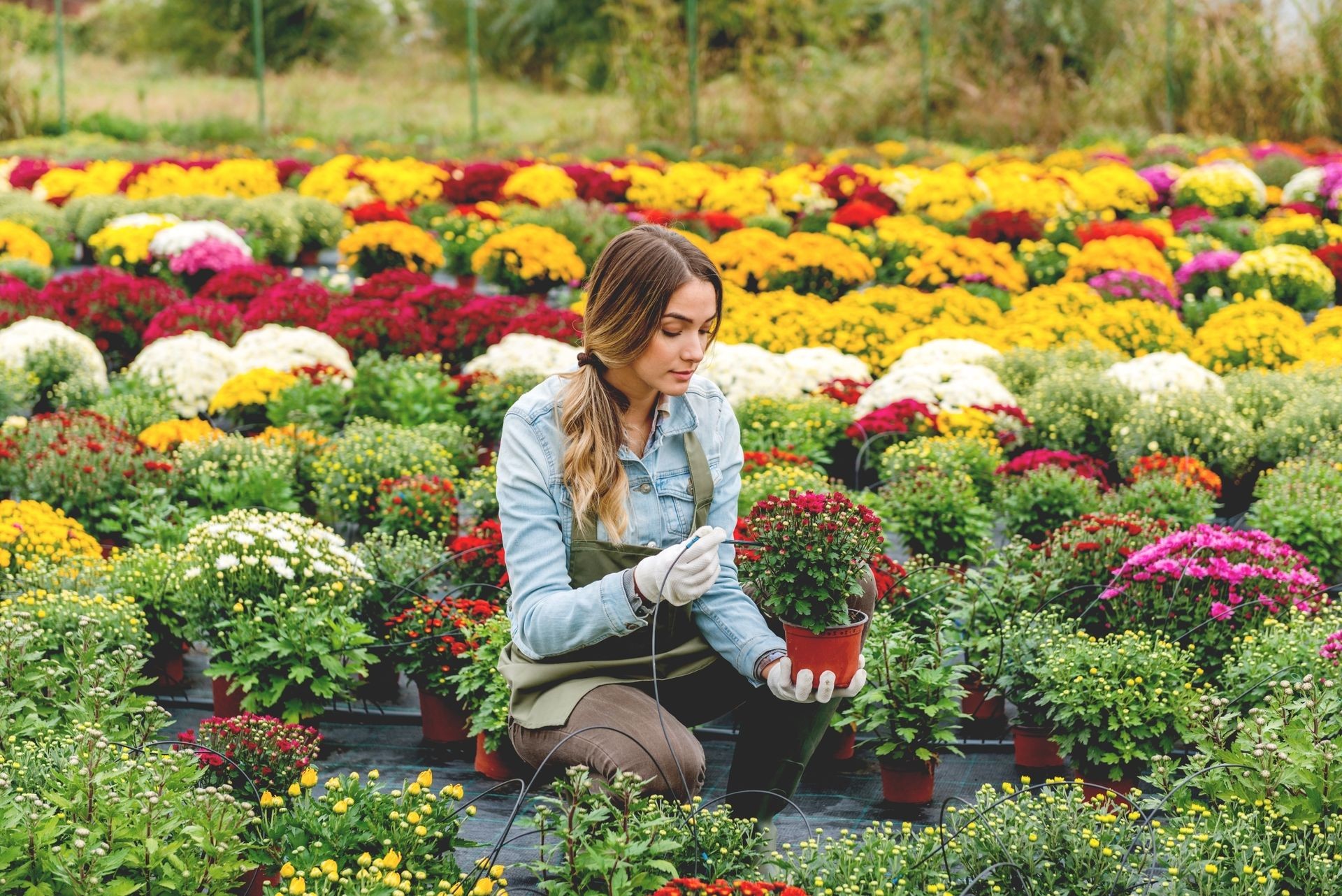 Working in flower field