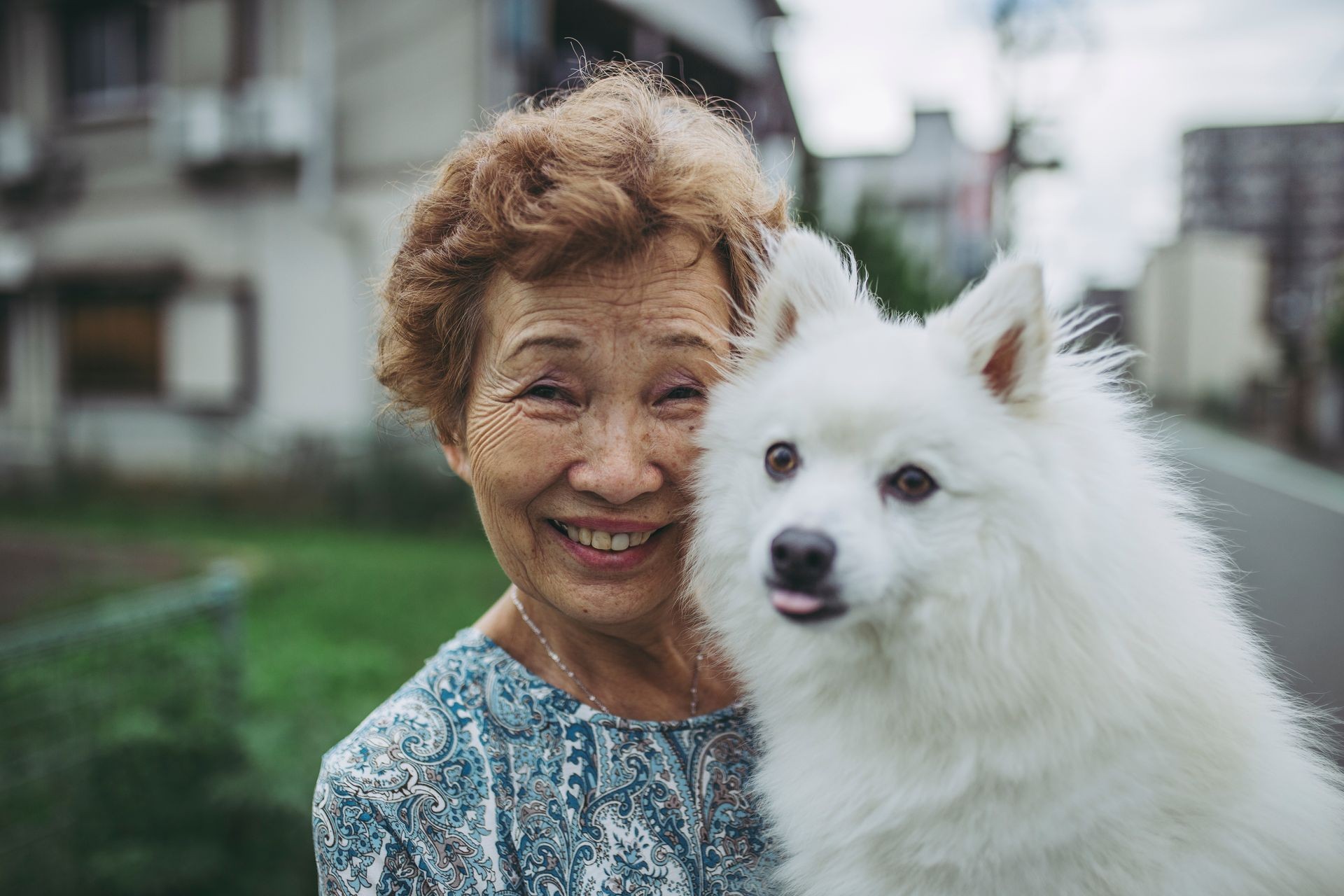 Pet Therapy